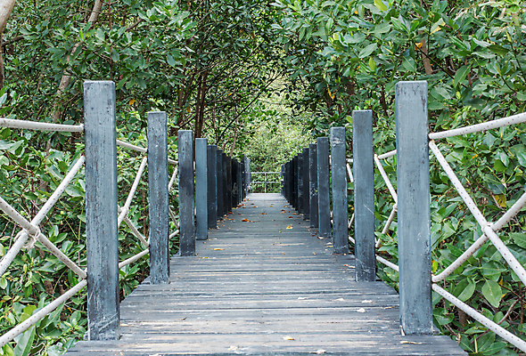 포토 JPG 해외이미지 나무 식물 공원 아시아 도로 여행 잎 건축양식 자국 자연 휴가 사람없음 야외 목재 초록색 갈색 환경 침묵 산책 탐험 숲 접속 오솔길 장면 내추럴 건너기 방법 옛날 해외포토 공공시설 건축 나라 길 컬러 재료 교통시설 모션 휴식 소리 생태계 파일형식 이미지허브