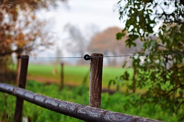 포토 JPG 해외이미지 나무 백그라운드 잎 농업 사람없음 야외 초록색 업무 소프트포커스 밭일 해외포토 식물 산업 컬러 촬영기법 작업 파일형식 이미지허브
