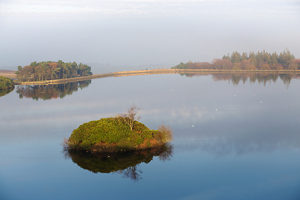 포토 JPG 해외이미지 나무 식물 호수 섬 백그라운드 잎 겨울 갈매기 하늘 표면 오리 풍경 사람없음 야외 물 파란색 빛 반사 침묵 추위 시골 저수지 황무지 저녁 작음 지역 멀리 잔물결 절정 지리 카피스페이스 해외포토 자연요소 계절 물결 컬러 조류 소리 공백 야간 크기 파일형식 이미지허브