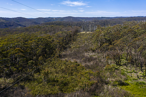 포토 JPG 해외이미지 나무 자연 하늘 안테나 사람없음 야외 초록색 파란색 갈색 환경 탑 계곡 힘 전선 호주 숲 땅 언덕 드론 해외포토 식물 건축물 컬러 통신 오세아니아 생태계 파일형식 이미지허브