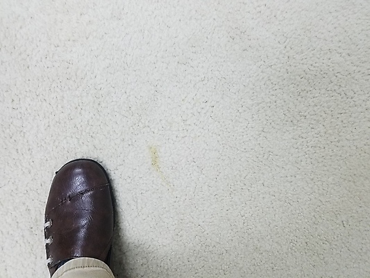 포토 JPG 해외이미지 신발 바닥 사람없음 내부 갈색 카펫 흰색 직물 얼룩 먼지 섬유 해외포토 컬러 파일형식 이미지허브