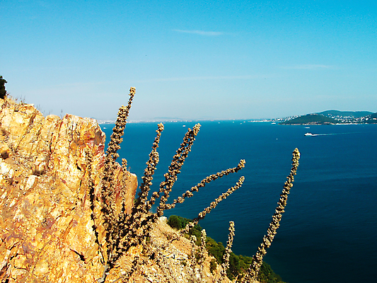 포토 JPG 해외이미지 나무 구름 라이프스타일 호수 파도 바다 섬 여행 교통시설 자연 하늘 바람 휴가 휴식 풍경 취미 사람없음 야외 물 여름 파란색 관광지 빛 햇빛 태양 반사 고요 황혼 자유 흰색 갸우뚱 수평선 해외포토 자연요소 식물 계절 컬러 교통 컨셉 모션 날씨 생활 일몰 시설 생태계 파일형식 이미지허브