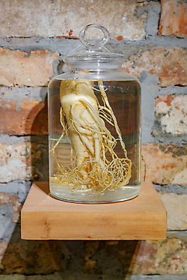 포토 JPG 해외이미지 식물 벽 백그라운드 채소 유리 벽돌 주택 사람없음 내부 장식 방 흰색 항아리 투명 액체 큼 허브 플라스크 오브젝트 피클 뿌리 내추럴 영원 해외포토 컬러 재질 실험기구 건물 도자기 크기 절임 파일형식 이미지허브