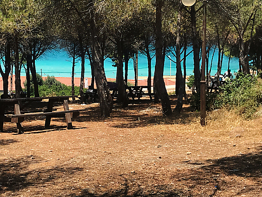 포토 JPG 해외이미지 나무 식물 구름 계절 바다 섬 자연 하늘 날씨 풍경 잔디 사람없음 야외 빨간색 여름 파란색 빛 컬러풀 햇빛 태양 뷰티 노란색 환경 황혼 봄 새벽 가을 농촌 숲 땅 질감 해외포토 자연요소 컬러 일몰 시골 생태계 파일형식 이미지허브