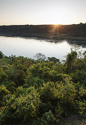 포토 JPG 해외이미지 나무 식물 자연 하늘 풍경 사람없음 초록색 물 강 태양 황혼 일몰 흐름 남아메리카 숲 라틴아메리카 브라질 해외포토 자연요소 컬러 컨셉 아메리카 노을 생태계 파일형식 이미지허브
