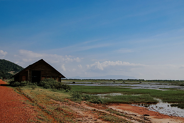 포토 JPG 해외이미지 산업 아시아 농업 사람없음 야외 시골 좌절 가난 우울증 인도차이나반도 수평선 카피스페이스 부족함 해외포토 감정 나라 컨셉 공백 질병 파일형식 이미지허브
