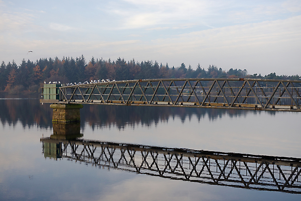 포토 JPG 해외이미지 나무 구름 계절 산업 호수 물결 백그라운드 단풍 갈매기 조류 하늘 벽돌 풍경 사람없음 물 반짝임 반사 금속 항구 거울 장비 가을 바위 시골 저수지 저녁 숲 철 방파제 침엽수 대칭 철강 파스텔톤 해외포토 자연요소 식물 동물 공공시설 컬러 잎 교통시설 모션 재질 돌_바위 야간 파일형식 이미지허브