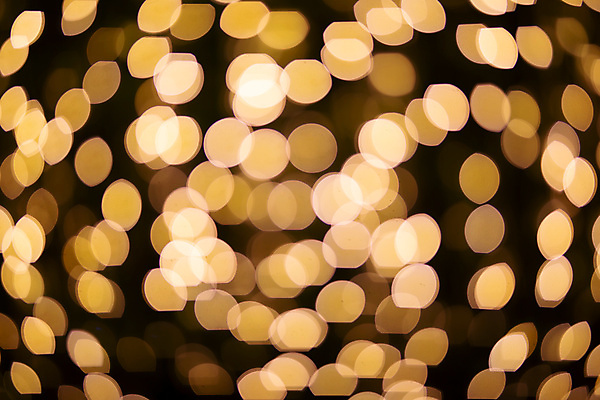 포토 JPG 해외이미지 나무 디자인 별 백그라운드 크리스마스 겨울 패턴 추상 휴가 불꽃 새로움 사람없음 장식 가로 빨간색 파란색 빛 반짝임 노란색 파티 우주 축제 어둠 흰색 축하 원형 신용카드 화려 황금 야간 소프트포커스 연도 질감 보케 마법 빛망울 광 블러 효과 해외포토 자연요소 도형 식물 계절 기념일 컬러 컨셉 무늬 모션 불 촬영기법 이벤트 금융 파일형식 이미지허브