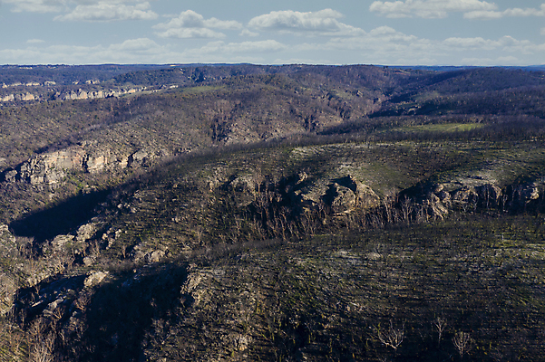 포토 JPG 해외이미지 나무 식물 구름 잎 자연 불 안테나 풍경 사람없음 야외 초록색 여름 농장 갈색 환경 계곡 검은색 안개 흰색 호주 숲 땅 언덕 드론 밭일 해외포토 자연요소 계절 컬러 농업 통신 날씨 오세아니아 생태계 파일형식 이미지허브