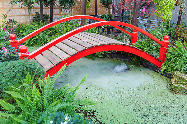 포토 JPG 해외이미지 식물 디자인 꽃 백그라운드 아이디어 사람없음 목재 장식 빨간색 초록색 물 정원 연못 판넬 원예 조경 내추럴 뒤뜰 그리너리 해외포토 자연요소 나무 컬러 컨셉 재료 취미 파일형식 트랜드컬러 이미지허브