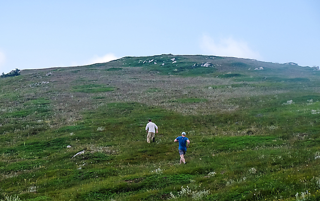 포토 JPG 해외이미지 백인 직업 라이프스타일 여자 남자 스포츠 바다 포즈 백그라운드 자국 발 자연 근육 산 건강 사람 사람없음 야외 옆모습 달리기 조깅 운동 경쟁 연습 속도 역동적 마라톤 오르막 달리기선수 선로 진짜 해외포토 서양인 뷰포인트 컨셉 모션 경기 생활 신체부위 육상스포츠 생태계 육상선수 파일형식 이미지허브