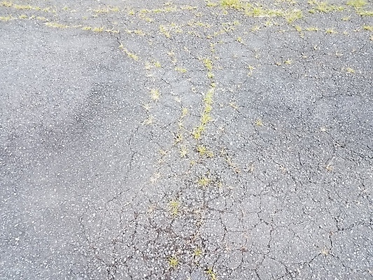 포토 JPG 해외이미지 식물 날씨 잔디 사람없음 손상 잡초 보행로 아스팔트 다리찢기 땅바닥 해외포토 도로 길 컨셉 모션 바닥 파일형식 이미지허브