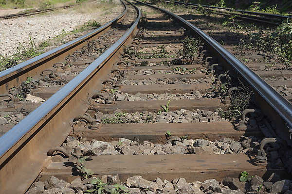 포토 JPG 해외이미지 산업 도로 길 선 여행 교통시설 사람없음 목재 초록색 금속 기차 방향 철 부식 트랙 방법 선로 옛날 철강 해외포토 나무 육상교통 컬러 교통 재료 재질 대중교통 시설 파일형식 이미지허브