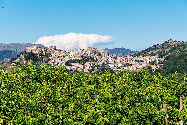 포토 JPG 해외이미지 나무 공원 여행 건축양식 자연 하늘 산 주택 파노라마 협상 풍경 경사 사람없음 야외 건물 여름 도시풍경 교회 마을 골짜기 계곡 이탈리아 시골 도시 중세 지중해 언덕 북쪽 타운 옛날 전국 해외포토 식물 건축물 계절 공공시설 건축 유럽 바다 비즈니스 종교건축 촬영기법 역사 방향 생태계 파일형식 이미지허브