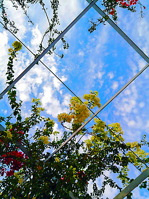 포토 JPG 해외이미지 식물 디자인 계절 꽃잎 꽃 백그라운드 잎 꽃무늬 밭 자연 벽지 하늘 추상 잔디 사람없음 야외 초록색 파란색 햇빛 태양 뷰티 노란색 정원 맑음 봄 성장 벚꽃 흰색 시골 신선 닫기 묘사 데이지 내추럴 캐모마일 많음 해외포토 자연요소 컬러 컨셉 무늬 농업 모션 날씨 허브 생태계 파일형식 이미지허브