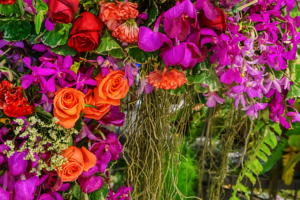 포토 JPG 해외이미지 나무 식물 꽃 백그라운드 잎 꽃무늬 자연 사랑 미술 사람없음 야외 뷰티 정원 벚꽃 신선 개화 내추럴 우수 스타일 해외포토 감정 무늬 문화예술 절기 생태계 파일형식 이미지허브