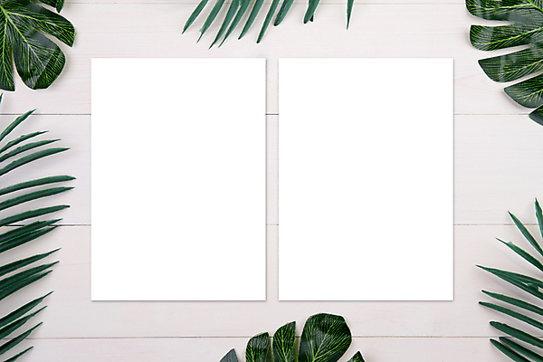 포토 JPG 해외이미지 종이 프레임 사람없음 흰배경 야자수잎 목업 해외포토 백그라운드 잎 흰색 파일형식 이미지허브