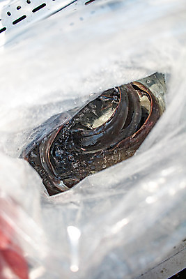 포토 JPG 해외이미지 동물 전통 접시 호수 야생동물 음식 바다 백그라운드 채소 자연 낚시 디저트 건강 어류 요리 동양인 사람없음 물 강 검은색 수중 식사 저녁식사 흰색 신선 잡기 먹기 해산물 콧수염 내추럴 점심식사 고립 민물 해외포토 자연요소 식기 컬러 모션 레저 수염 인종 수중동물 생태계 파일형식 이미지허브