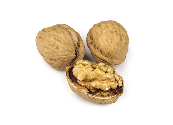 포토 JPG 해외이미지 음식 백그라운드 다이어트 재료 자연 탁자 건강 사람없음 갈색 견과류 껍질 흰색 시골 그룹 맛 유기농 질감 알맹이 날것 호두 내추럴 고립 단백질 채식주의자 비건 해외포토 웰빙 컬러 가구 컨셉 생태계 채식 영양소 파일형식 이미지허브