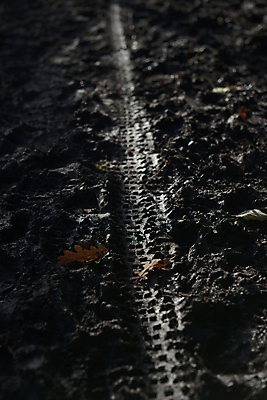 포토 JPG 해외이미지 계절 길 백그라운드 신발 잎 겨울 자국 표면 날씨 부츠 그림자 사람없음 야외 세로 운동 햇빛 자전거 어둠 흙 하이킹 젖음 인쇄 그늘 발자국 땅 질감 순환 타이어 지역 진흙 밟기 단계 땅바닥 바이킹 산악자전거 선로 해외포토 식물 모션 레저 바닥 건강 태양 바이크 파일형식 이미지허브