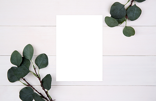 포토 JPG 해외이미지 종이 탁자 프레임 사람없음 책상 흰배경 목업 해외포토 가구 백그라운드 흰색 파일형식 이미지허브