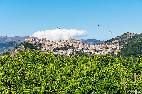 포토 JPG 해외이미지 나무 공원 여행 건축양식 자연 하늘 산 주택 파노라마 협상 풍경 경사 사람없음 야외 건물 여름 도시풍경 교회 마을 골짜기 계곡 이탈리아 시골 도시 중세 지중해 언덕 북쪽 타운 옛날 전국 해외포토 식물 건축물 계절 공공시설 건축 유럽 바다 비즈니스 종교건축 촬영기법 역사 방향 생태계 파일형식 이미지허브