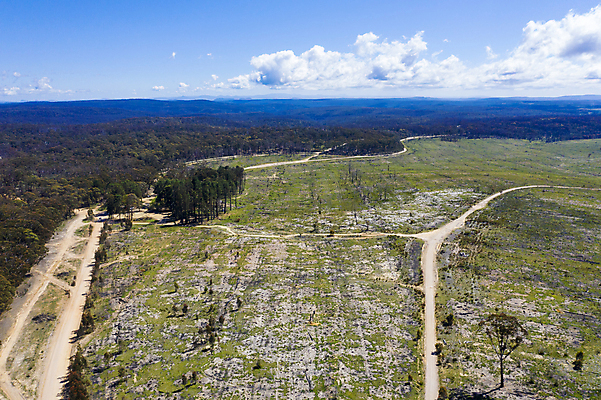 포토 JPG 해외이미지 나무 식물 도로 여행 밭 자연 하늘 불 안테나 사람없음 야외 초록색 파란색 갈색 환경 호주 숲 땅 머리위 먼지 내추럴 드론 선로 흙길 해외포토 자연요소 길 컬러 농업 통신 교통시설 흙 오세아니아 생태계 파일형식 이미지허브