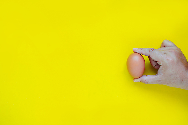 포토 JPG 해외이미지 동물 1 손 여자 음식 백그라운드 농업 다이어트 재료 손가락 자연 건강 요리 서기 사람없음 농장 갈색 식사 치킨 성장 껍질 흰색 신선 잡기 아침식사 상품 먹기 오브젝트 싱글 유기농 부활절계란 날것 건강식 내추럴 고립 단백질 돌봄 밭일 삶기 암탉 해외포토 웰빙 산업 컬러 모션 부활절 사람 신체부위 계란 닭 암컷 생태계 닭고기요리 영양소 파일형식 이미지허브