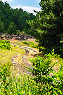 포토 JPG 해외이미지 공원 꽃 유럽 백그라운드 자연 하늘 산 파노라마 사람없음 검은색 이탈리아 하이킹 흐름 정상 폭발 지중해 언덕 화산 장면 분화구 용암 내추럴 재 전국 절정 지질학 해외포토 식물 공공시설 교육 나라 바다 컬러 컨셉 레저 촬영기법 생태계 파일형식 이미지허브
