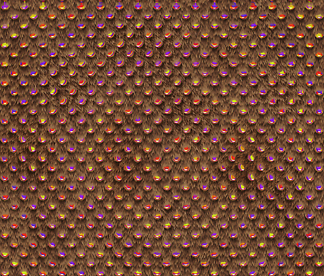 포토 JPG 해외이미지 모양 동물 응시 아시아 얼굴 야생동물 백그라운드 신체 일러스트 포유류 자연 털 사람없음 야외 목재 빛 갈색 노란색 유행 검은색 고양이 소리 줄무늬 흰색 표현 토끼 점 쥐 인쇄 위험 큼 보석 사파리 피부 질감 다이아몬드 부드러움 페이지 해외일러스트 나무 시선 나라 컬러 컨셉 무늬 재료 신체부위 반려동물 감각 설치류 크기 광석 생태계 파일형식 이미지허브