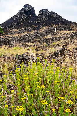포토 JPG 해외이미지 구름 공원 꽃 유럽 백그라운드 자연 하늘 산 파노라마 풍경 사람없음 검은색 이탈리아 하이킹 흐름 바위 정상 폭발 지중해 언덕 화산 장면 분화구 용암 내추럴 재 전국 절정 지질학 해외포토 자연요소 식물 공공시설 교육 나라 바다 컬러 컨셉 레저 촬영기법 돌_바위 생태계 파일형식 이미지허브