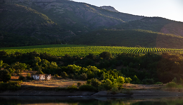 포토 JPG 해외이미지 식물 호수 바다 여행 백그라운드 밭 농업 자연 하늘 포도 휴가 산 풍경 사람없음 야외 초록색 물 여름 파란색 햇빛 환경 와인 맑음 수확 바위 시골 언덕 프랑스어 해외포토 자연요소 문자 계절 산업 컬러 과일 날씨 주류 태양 돌_바위 생태계 파일형식 이미지허브