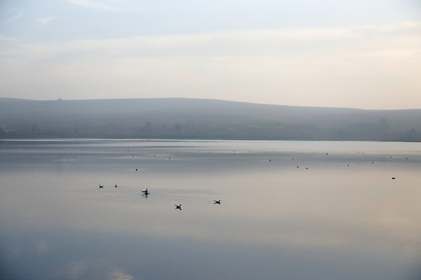포토 JPG 해외이미지 호수 야생동물 백그라운드 자연 갈매기 조류 표면 추상 휴식 사람없음 야외 물 파란색 빛 반사 평화 침묵 거울 안개 저수지 그룹 저녁 언덕 서식지 내추럴 뿌연 잔물결 평야 많음 수평선 카피스페이스 해외포토 자연요소 동물 물결 컬러 컨셉 무늬 날씨 소리 공백 야간 생태계 파일형식 이미지허브