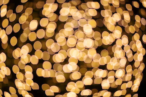 포토 JPG 해외이미지 나무 디자인 별 백그라운드 크리스마스 겨울 패턴 추상 휴가 새로움 사람없음 장식 가로 빨간색 파란색 빛 반짝임 노란색 파티 우주 축제 어둠 흰색 축하 원형 신용카드 화려 황금 야간 소프트포커스 연도 질감 보케 마법 빛망울 광 블러 효과 해외포토 자연요소 도형 식물 계절 기념일 컬러 컨셉 무늬 모션 촬영기법 이벤트 금융 파일형식 이미지허브