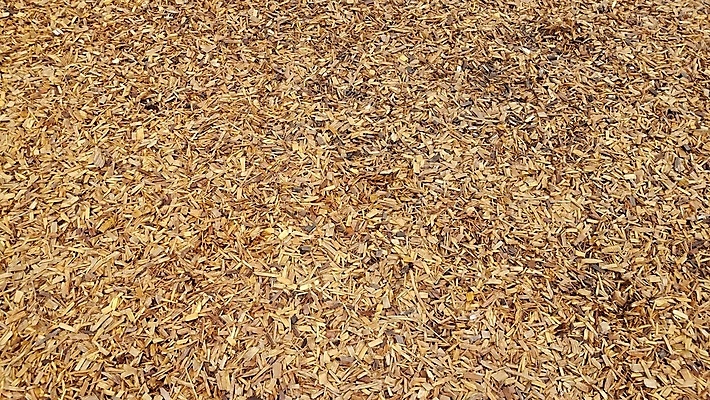 포토 JPG 해외이미지 백그라운드 자연 사람없음 야외 목재 갈색 젖음 촉촉함 땅바닥 해외포토 나무 컬러 재료 바닥 생태계 파일형식 이미지허브