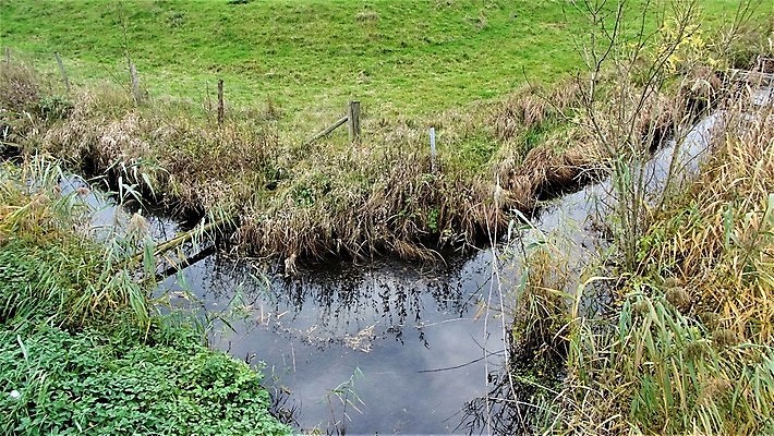포토 JPG 해외이미지 식물 사람없음 야외 초록색 뷰티 침묵 시골 관찰 땅파기 보호구역 해외포토 컬러 모션 소리 구역 파일형식 이미지허브