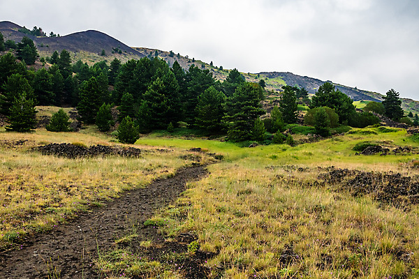 포토 JPG 해외이미지 구름 공원 꽃 유럽 백그라운드 자연 하늘 산 파노라마 풍경 사람없음 검은색 이탈리아 하이킹 흐름 바위 정상 폭발 지중해 언덕 화산 장면 분화구 용암 내추럴 재 전국 절정 지질학 해외포토 자연요소 식물 공공시설 교육 나라 바다 컬러 컨셉 레저 촬영기법 돌_바위 생태계 파일형식 이미지허브