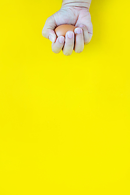 포토 JPG 해외이미지 동물 1 손 여자 음식 백그라운드 농업 다이어트 재료 손가락 자연 건강 요리 서기 사람없음 농장 갈색 식사 치킨 성장 껍질 흰색 신선 잡기 아침식사 상품 먹기 오브젝트 싱글 유기농 부활절계란 날것 건강식 내추럴 고립 단백질 돌봄 밭일 삶기 암탉 해외포토 웰빙 산업 컬러 모션 부활절 사람 신체부위 계란 닭 암컷 생태계 닭고기요리 영양소 파일형식 이미지허브