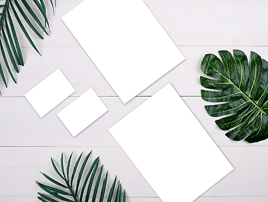 포토 JPG 해외이미지 종이 비즈니스 명함 나뭇잎 프레임 사람없음 흰배경 야자수잎 목업 해외포토 백그라운드 잎 흰색 파일형식 이미지허브