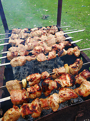 포토 JPG 해외이미지 육류 사람없음 야외 캠핑 꼬치 그릴 바비큐 굽기 꼬치구이 해외포토 음식 식재료 주방용품 레저 구이 파일형식 이미지허브