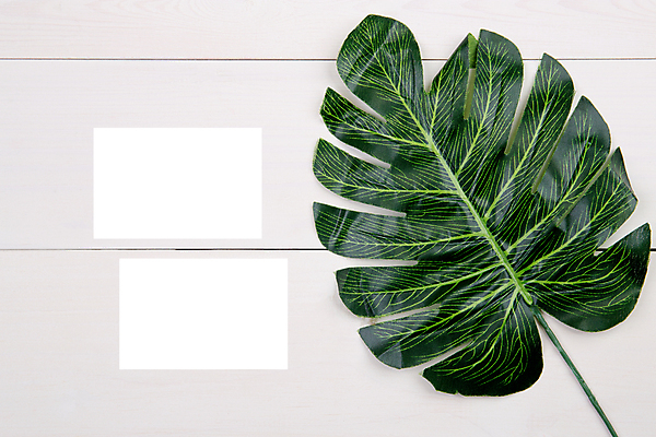 포토 JPG 해외이미지 종이 탁자 프레임 사람없음 책상 흰배경 목업 해외포토 가구 백그라운드 흰색 파일형식 이미지허브