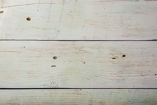 포토 JPG 해외이미지 나무 근접촬영 사람없음 목재 흰색 질감 카피스페이스 해외포토 식물 뷰포인트 컬러 재료 공백 파일형식 이미지허브