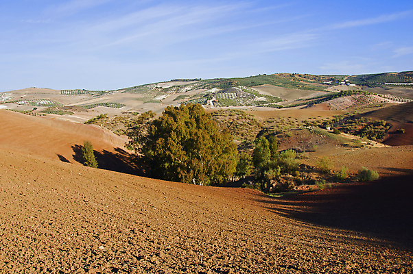 포토 JPG 해외이미지 나무 식물 계절 공원 유럽 여행 백그라운드 밭 농업 자연 하늘 산 파노라마 사람없음 야외 초록색 파란색 농장 갈색 마을 환경 계곡 일몰 시골 숲 작음 땅 언덕 타운 내추럴 밭일 해외포토 공공시설 나라 산업 컬러 촬영기법 노을 도시 크기 생태계 파일형식 이미지허브