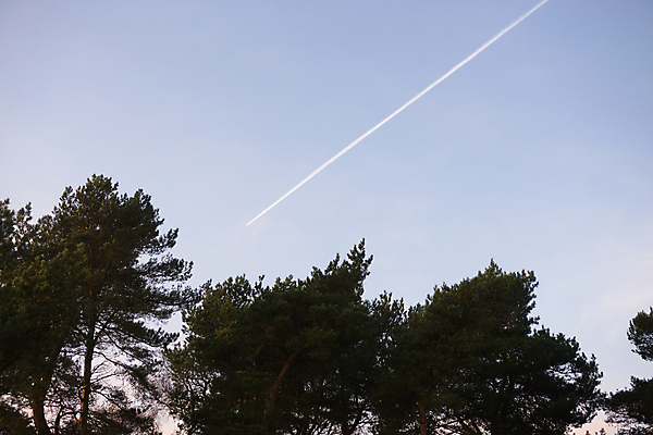 포토 JPG 해외이미지 나무 길 선 여행 자국 하늘 휴가 비행기 사람없음 야외 파란색 환경 일몰 산책로 올려보기 물방울 시골 소나무 분위기 저녁 숲 방향 항공 머리위 연료 제트기 엔진 우주산업 대패 배기가스 선로 직진 해외포토 식물 산업 컬러 컨셉 항공교통 모션 대중교통 우주 노을 야간 파일형식 이미지허브