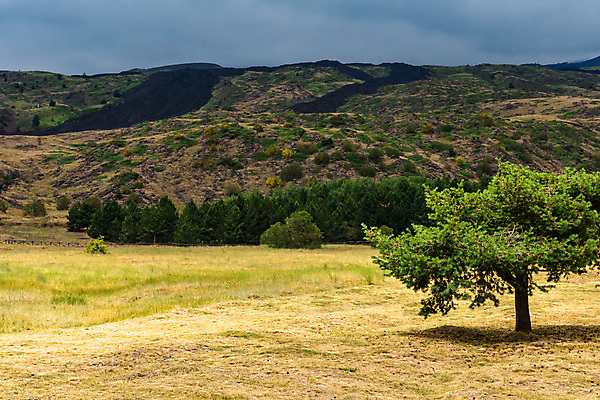 포토 JPG 해외이미지 공원 꽃 유럽 백그라운드 자연 하늘 산 파노라마 사람없음 검은색 이탈리아 하이킹 흐름 정상 폭발 지중해 언덕 화산 장면 분화구 용암 내추럴 재 전국 절정 지질학 해외포토 식물 공공시설 교육 나라 바다 컬러 컨셉 레저 촬영기법 생태계 파일형식 이미지허브