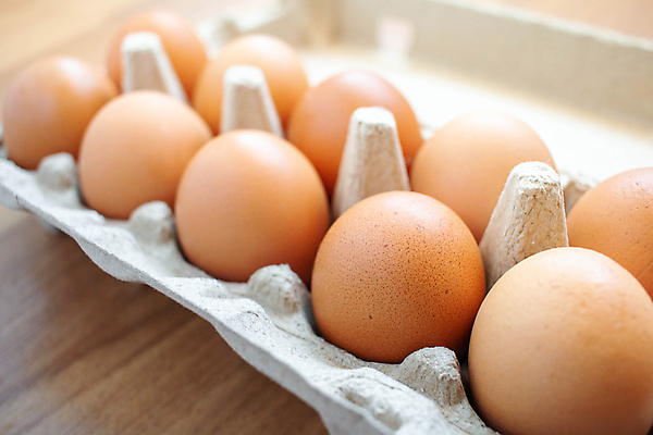 포토 JPG 해외이미지 음식 백그라운드 농업 다이어트 가방 재료 부활절 건강 요리 사람없음 목재 가로 농장 갈색 주방 계란 치킨 껍질 시골 신선 오픈 아침식사 유기농 날것 흙더미 건강식 내추럴 점심식사 단백질 카피스페이스 해외포토 나무 웰빙 잡화 기념일 산업 컬러 알 식사 흙 공백 닭고기요리 영양소 파일형식 더미 이미지허브