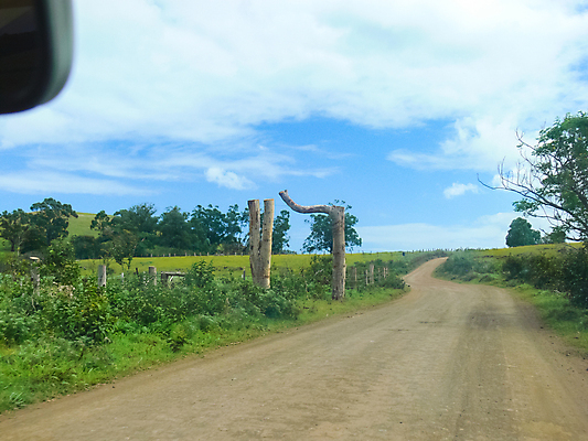 포토 JPG 해외이미지 식물 도로 파도 바다 섬 여행 백그라운드 자연 하늘 부활절 산 거리 경고 사람없음 야외 초록색 파란색 울타리 노란색 맑음 운전 시골 고속도로 서핑 땅 언덕 신호 화산 먼지 태평양 칠레 남쪽 해외포토 기념일 길 컬러 교통시설 모션 날씨 담장 수상스포츠 남아메리카 방향 생태계 파일형식 이미지허브