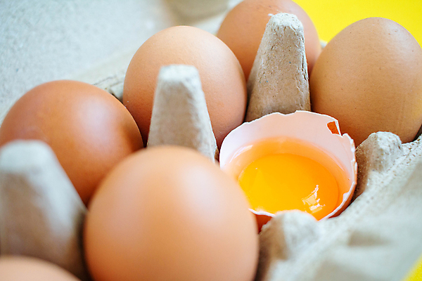 포토 JPG 해외이미지 동물 음식 백그라운드 농업 다이어트 재료 자연 부활절 건강 요리 사람없음 목재 가로 농장 갈색 주방 계란 저녁식사 치킨 껍질 흰색 시골 신선 오픈 균열 아침식사 먹기 유기농 날것 흙더미 건강식 내추럴 점심식사 고립 깨짐 단백질 생식 취급주의 카피스페이스 해외포토 나무 웰빙 기념일 산업 컬러 컨셉 모션 경고 알 식사 흙 공백 생태계 닭고기요리 영양소 파일형식 더미 이미지허브