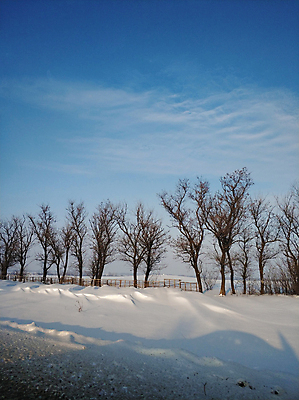 포토 JPG 해외이미지 나무 계절 도로 길 여행 백그라운드 크리스마스 겨울 교통시설 자연 하늘 날씨 휴가 거리 주택 사람없음 야외 건물 태양 마을 냉동 일몰 추위 흰색 시골 도시 숲 서리 장면 타운 눈보라 방법 자취 제설기 폭설 눈내림 해외포토 자연요소 식물 건축물 기념일 컬러 교통 눈_날씨 노을 자연재해 시설 생태계 제설 파일형식 이미지허브