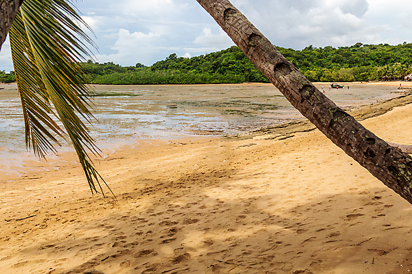 포토 JPG 해외이미지 나무 구름 모래 바다 여행 아프리카 자연 하늘 휴가 산 국립공원 손바닥 풍경 사람없음 목재 물 파란색 울타리 야자수 흰색 숲 크루즈 열대우림 인도양 마다가스카르 보호구역 해외포토 자연요소 식물 손 공원 나라 컬러 배_교통 재료 담장 생태계 구역 파일형식 이미지허브